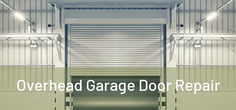  Overhead Garage Door Repair 
